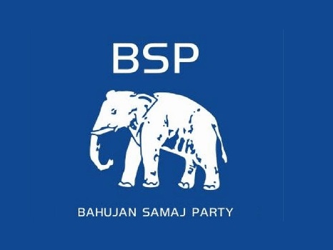 Bsp party up